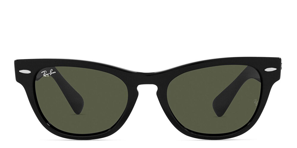 Ray-Ban Laramie Unisex Cat Eye Sunglasses