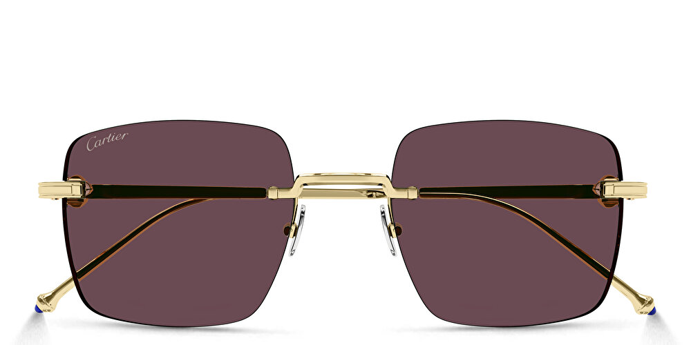 Cartier Pasha de Cartier Square Sunglasses